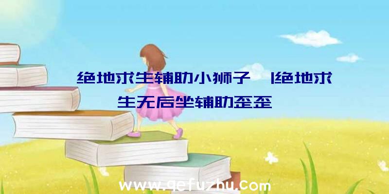 「绝地求生辅助小狮子」|绝地求生无后坐辅助歪歪